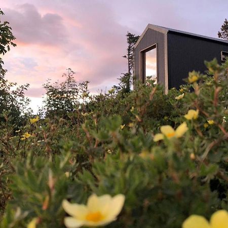 Tiny Home In Isle Of Skye-Pet Friendly Elgol المظهر الخارجي الصورة