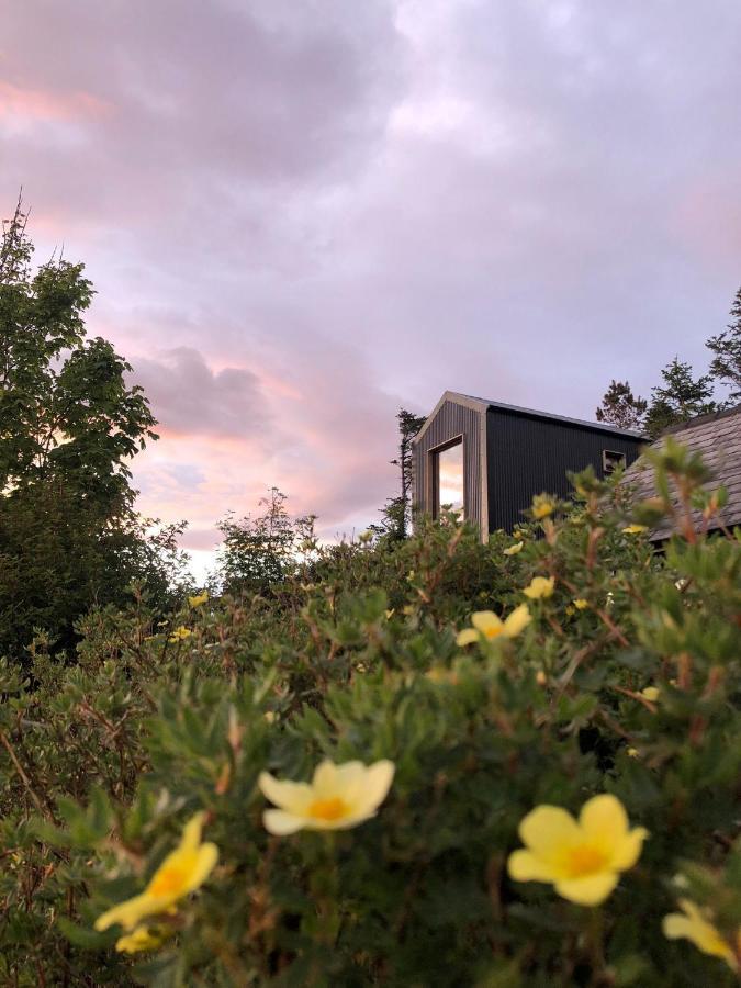 Tiny Home In Isle Of Skye-Pet Friendly Elgol المظهر الخارجي الصورة