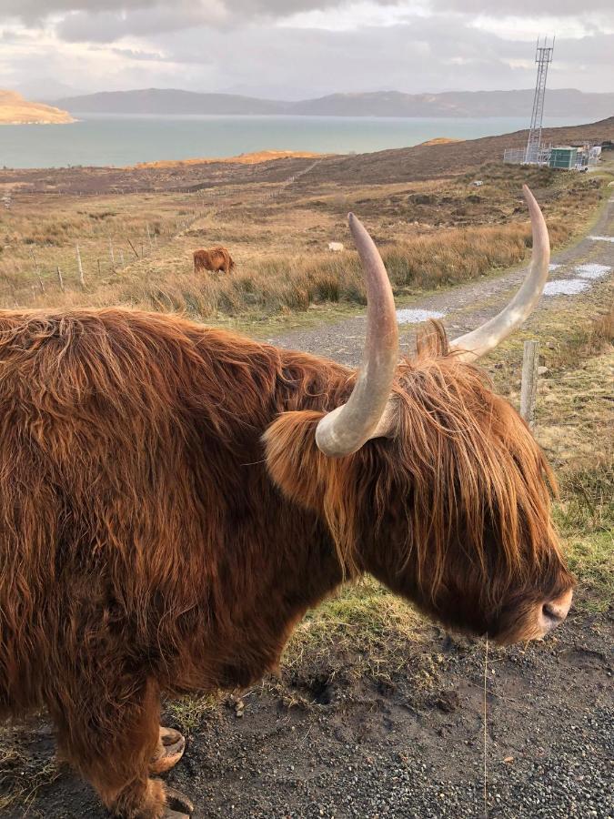 Tiny Home In Isle Of Skye-Pet Friendly Elgol المظهر الخارجي الصورة