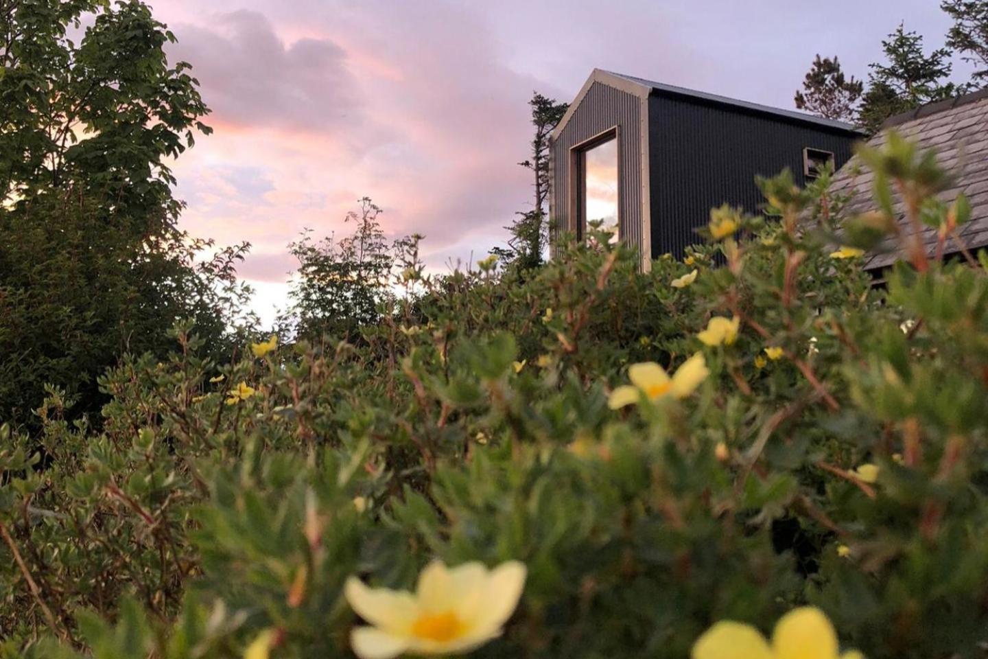 Tiny Home In Isle Of Skye-Pet Friendly Elgol المظهر الخارجي الصورة